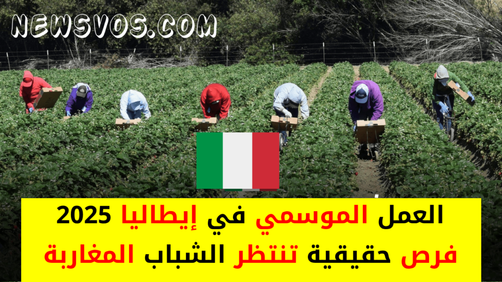 العمل الموسمي في إيطاليا 2025: فرص حقيقية تنتظر الشباب المغاربة