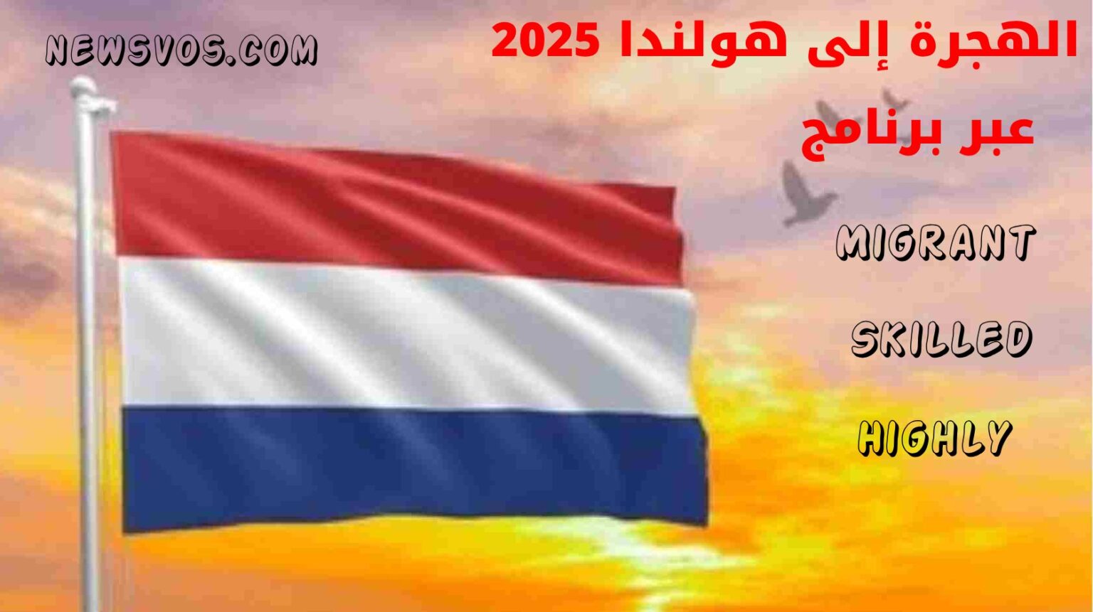 الهجرة إلى هولندا 2025 عبر برنامج Highly Skilled Migrant الهجرة إلى هولندا 2025 عبر برنامج Highly Skilled Migrant