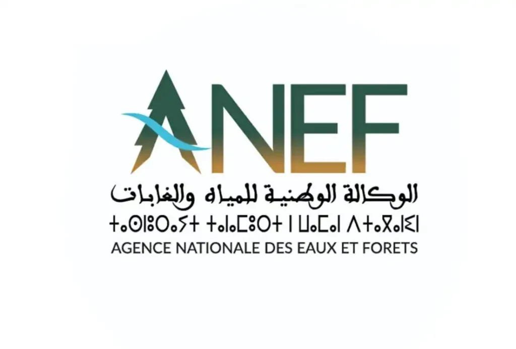 الوكالة الوطنية للمياه والغابات تعلن عن مباريات توظيف 58 منصبًا – آخر أجل للتسجيل 18 و24 نونبر 2025 الوكالة الوطنية للمياه والغابات تعلن عن مباريات توظيف 58 منصبًا – آخر أجل للتسجيل 18 و24 نونبر 2025